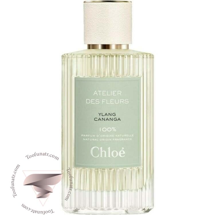 کلوهه یلانگ کانانگا - Chloe Ylang Cananga کلوهه یلانگ کانانگا - Chloe Ylang Cananga