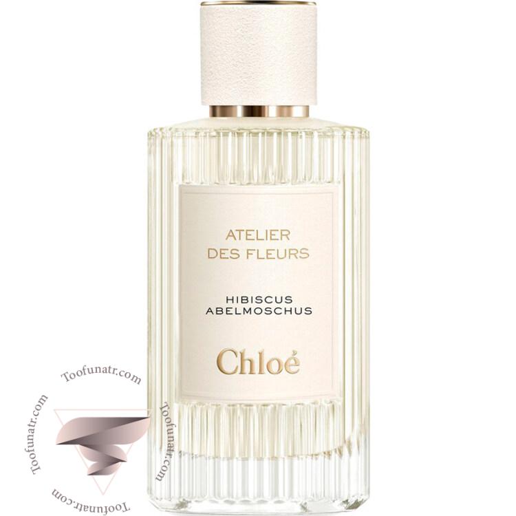 کلوهه هيبيسكوس ابلموشس - Chloe Hibiscus Abelmoschus کلوهه هيبيسكوس ابلموشس - Chloe Hibiscus Abelmoschus