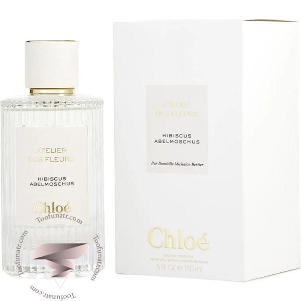 کلوهه هيبيسكوس ابلموشس - Chloe Hibiscus Abelmoschus