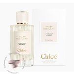 کلوهه جاسمینوم سامباک - Chloe Jasminum Sambac