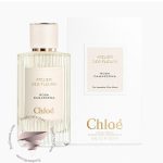 کلوهه رزا داماسینا - Chloe Rosa Damascena