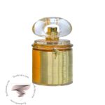 بیژن ویت ا توییست زنانه - Bijan With a Twist for women
