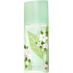 الیزابت آردن گرین تی جاسمین - Elizabeth Arden Green Tea Jasmine