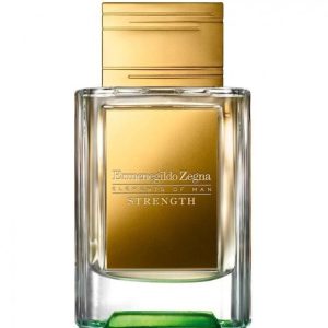 ارمنگیلدو زگنا استرنگت - Ermenegildo Zegna Strength