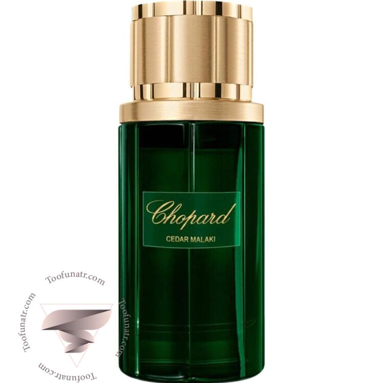 شوپارد چوپارد سدار ملکی - Chopard Cedar Malaki شوپارد چوپارد سدار ملکی - Chopard Cedar Malaki