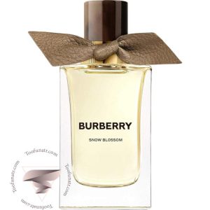 باربری اسنو بلوسوم - Burberry Snow Blossom