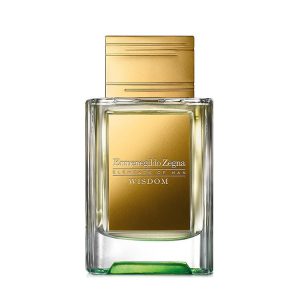 ارمنگیلدو زگنا ویسدوم - Ermenegildo Zegna Wisdom