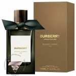 باربری میدنایت جورنی - Burberry Midnight Journey