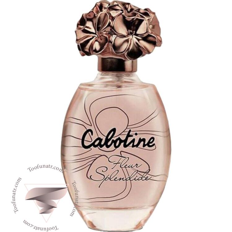 پارفومز گرس کابوتین فلور اسپلندید - Parfums Gres Cabotine Fleur Splendide پارفومز گرس کابوتین فلور اسپلندید - Parfums Gres Cabotine Fleur Splendide