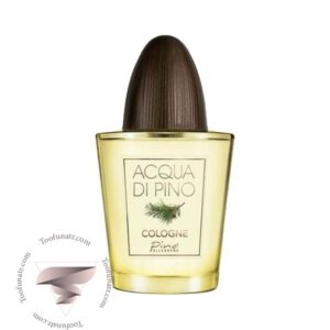 پینو سیلوستره آکوا دی پینو کلن (کلون) - Pino Silvestre Acqua di Pino Cologne