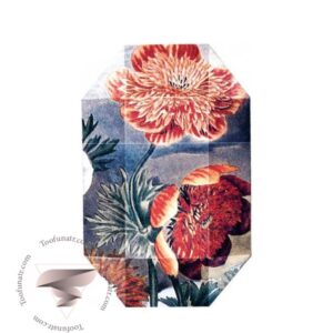 استلا مک کارتنی پرینت کالکشن استلا 03 (2011) - Stella McCartney Print Collection Stella 03 (2011)