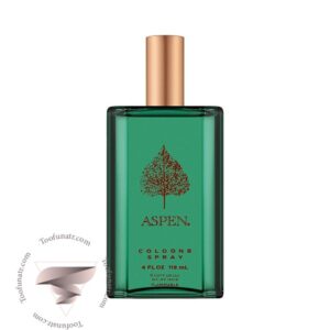 کوتی اسپن مردانه - Coty Aspen For Men