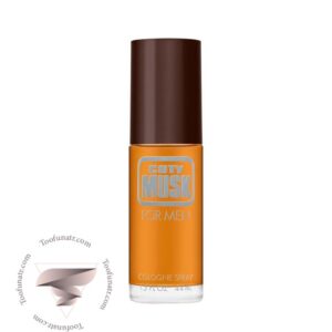 کوتی ماسک مردانه - Coty Musk for Men