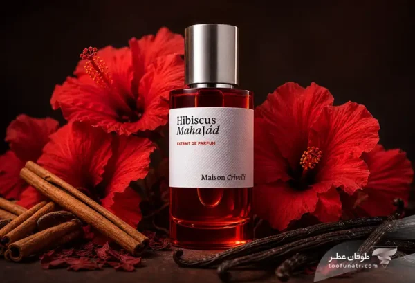 Maison Crivelli Hibiscus Mahajad