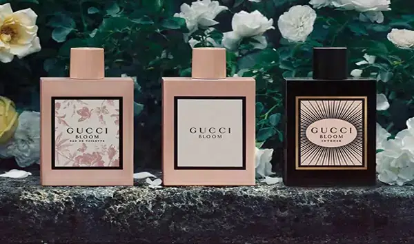 عطر برند گوچی