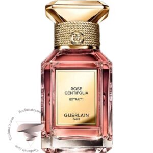 گرلن رز سنتیفولیا اکستریت 1 - Guerlain Rose Centifolia Extrait 1