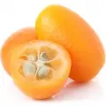 Kumquat