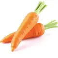 Carrot