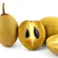 Sapodilla