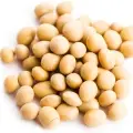 Soybean