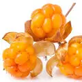 Cloudberry