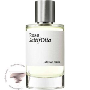 میسون کریولی رز سالتیفولیا - Maison Crivelli Rose SaltifOlia