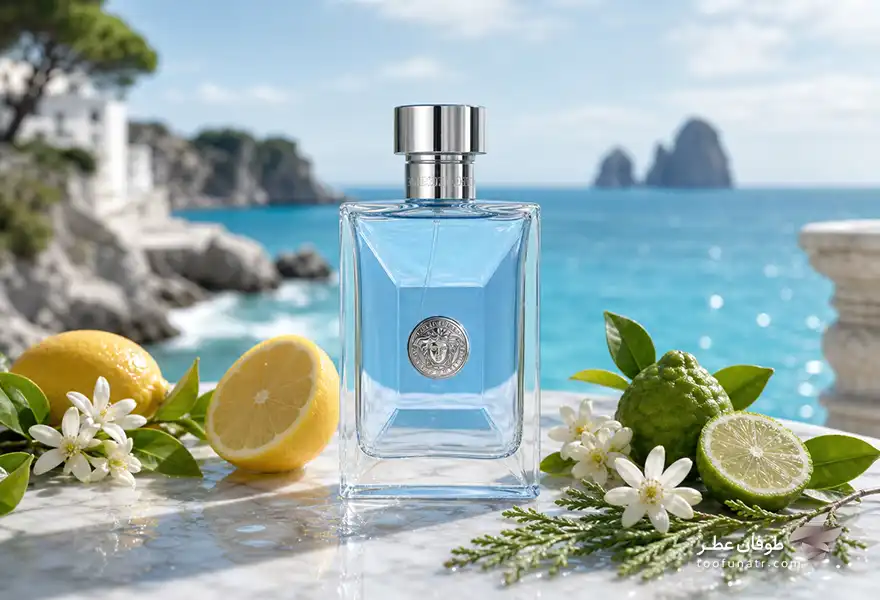 12 عطر ارزان قیمت که با برندهای لوکس رقابت می کنند 9 بطری جذاب دیلان بلو با برند لاکچری ورساچه در کنار نت های تشکیل دهنده عطر