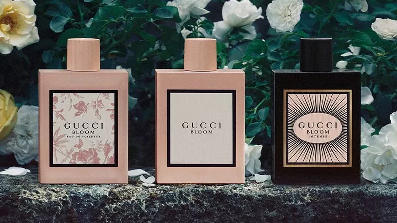 شناخت نت های عطر و خانواده های بویایی برای انتخاب بهتر 7 عطر گوچی بلوم