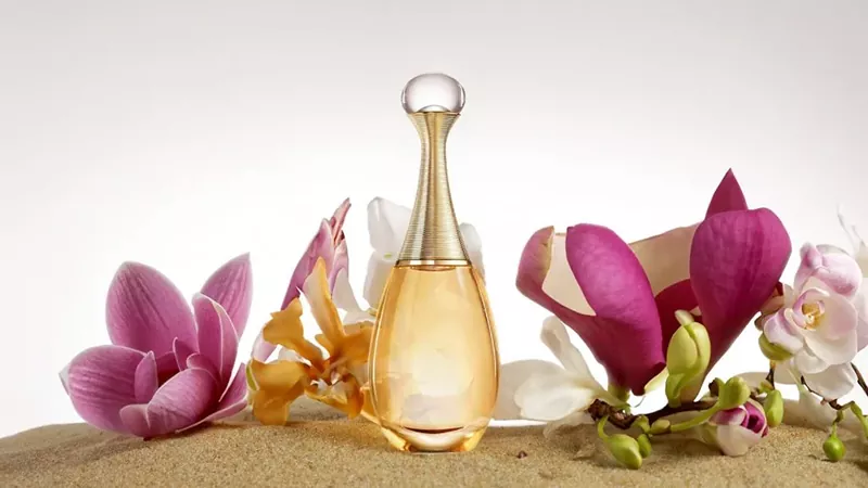 شناخت نت های عطر و خانواده های بویایی برای انتخاب بهتر 4 عطر دیور جادور