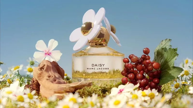 شناخت نت های عطر و خانواده های بویایی برای انتخاب بهتر 10 عطر مارک جاکوبز دیزی