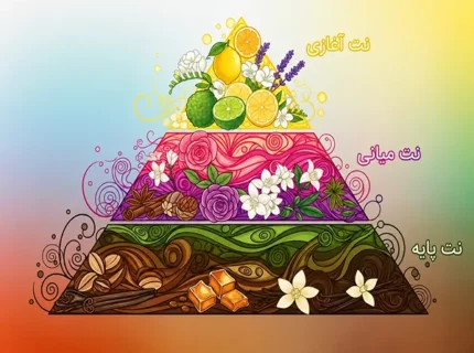 شناخت نت های عطر