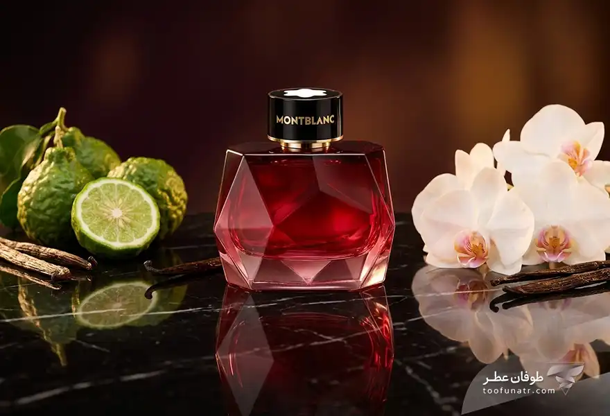 Mont Blanc Signature Elixir