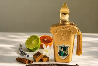 بررسی عطر کازاموراتی لیرا