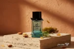 عطر باربری مستر باربری المنت - Burberry Mr. Burberry Element EDT با نت های بادام، سرو کوهی، خزه درخت بلوط، روایح معدنی