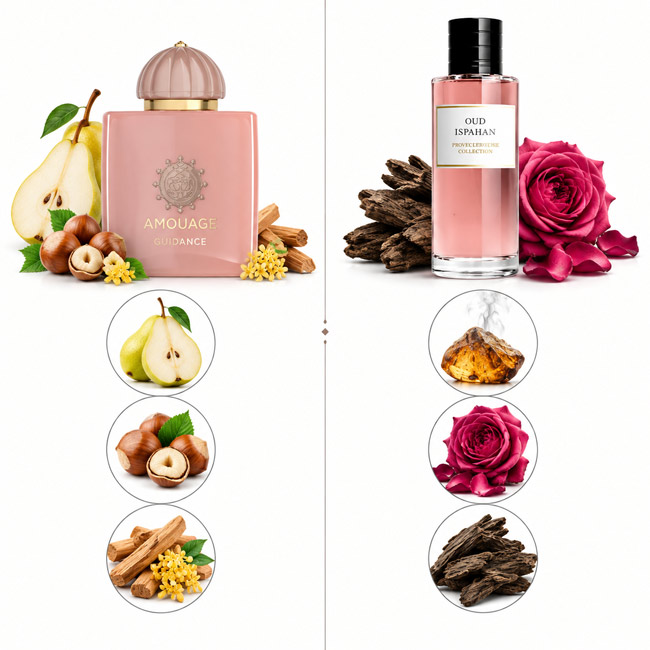 اینفوگرافیک مقایسه تخصصی نت های تشکیل دهنده عطر آمواژ گایدنس شامل فندق و گلابی در کنار دیور عود اسپهان با نت های رز دمشقی و عود طبیعی